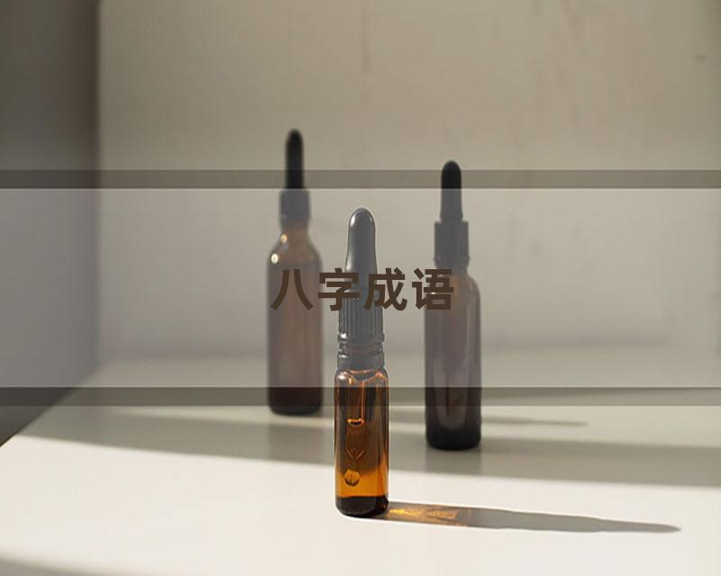 八字成语