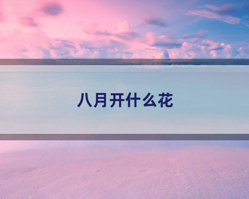 八月开什么花