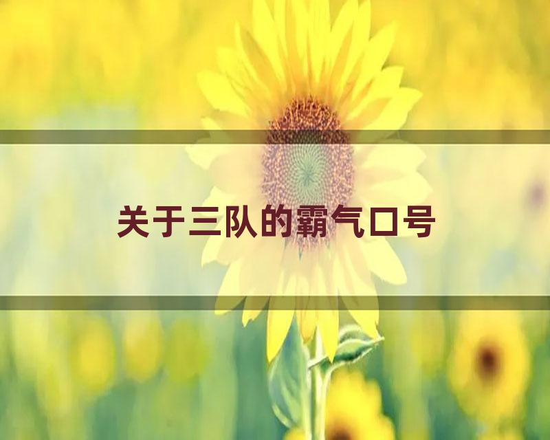 关于三队的霸气口号
