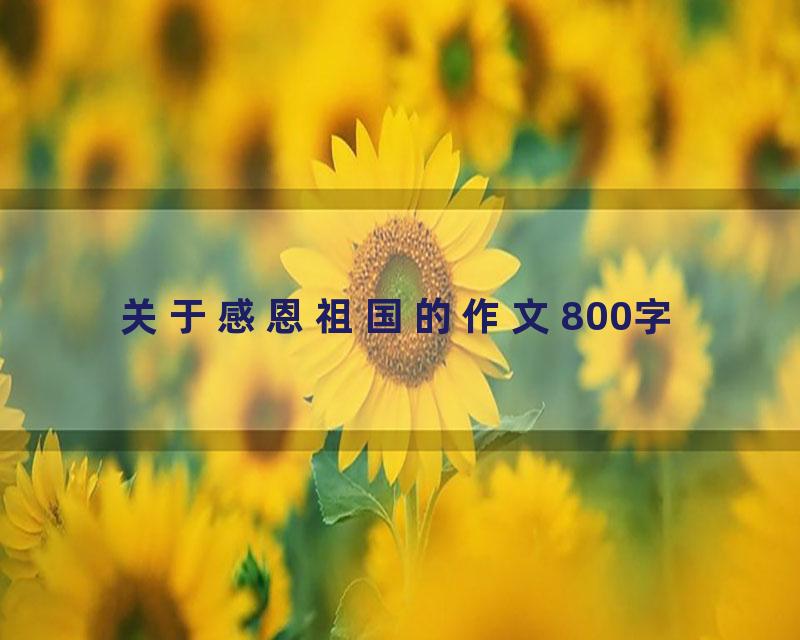 关于感恩祖国的作文800字