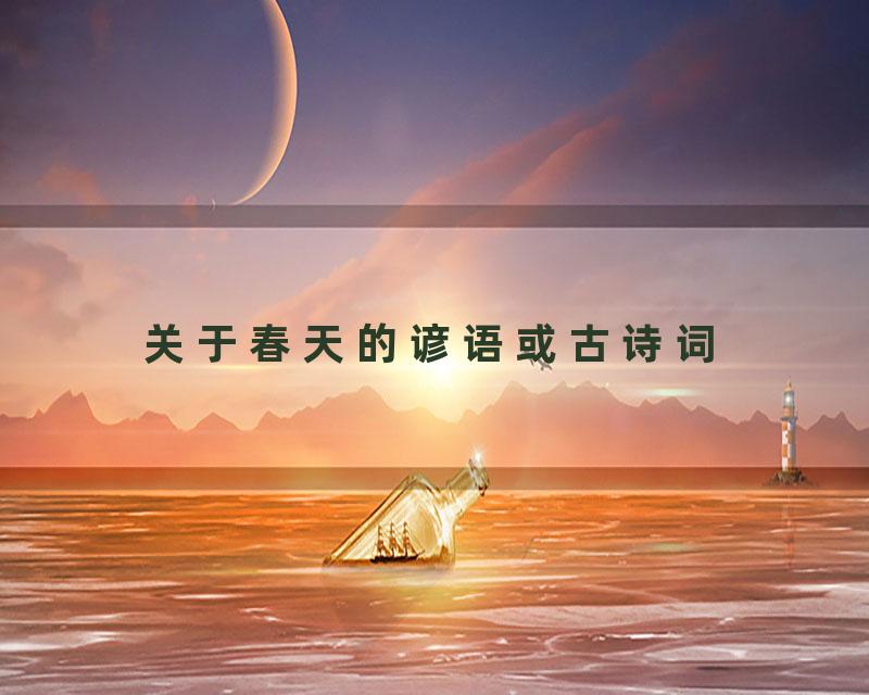 关于春天的谚语或古诗词