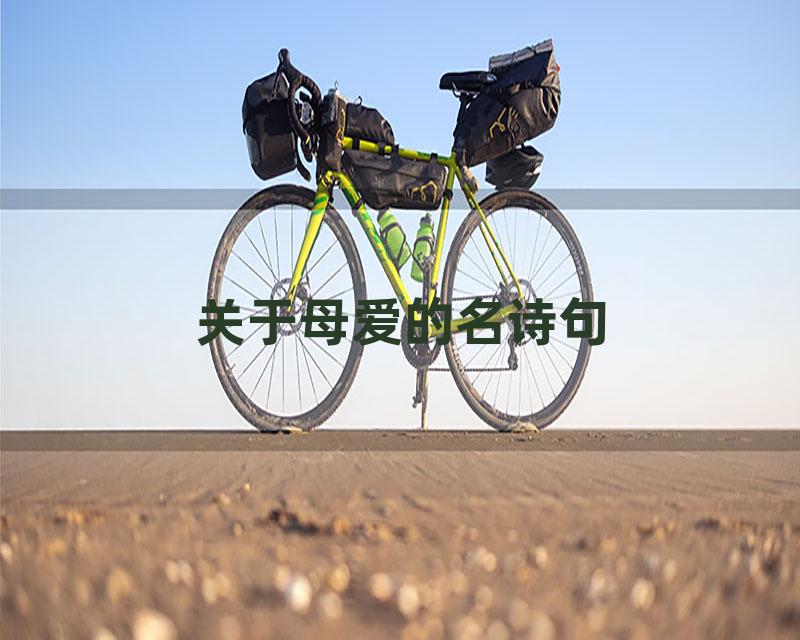 关于母爱的名诗句