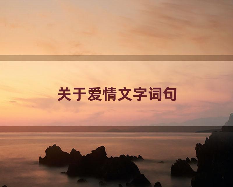 关于爱情文字词句