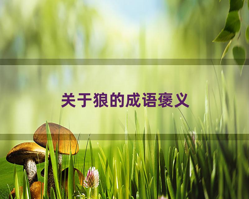 关于狼的成语褒义