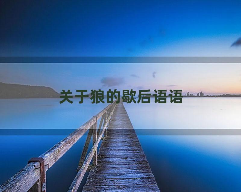 关于狼的歇后语语