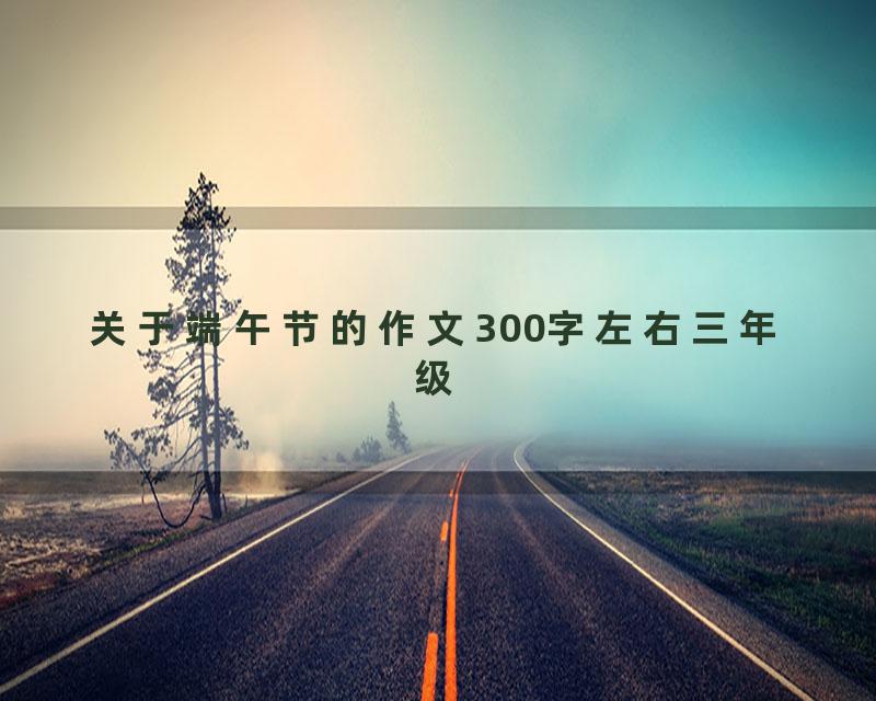 关于端午节的作文300字左右三年级