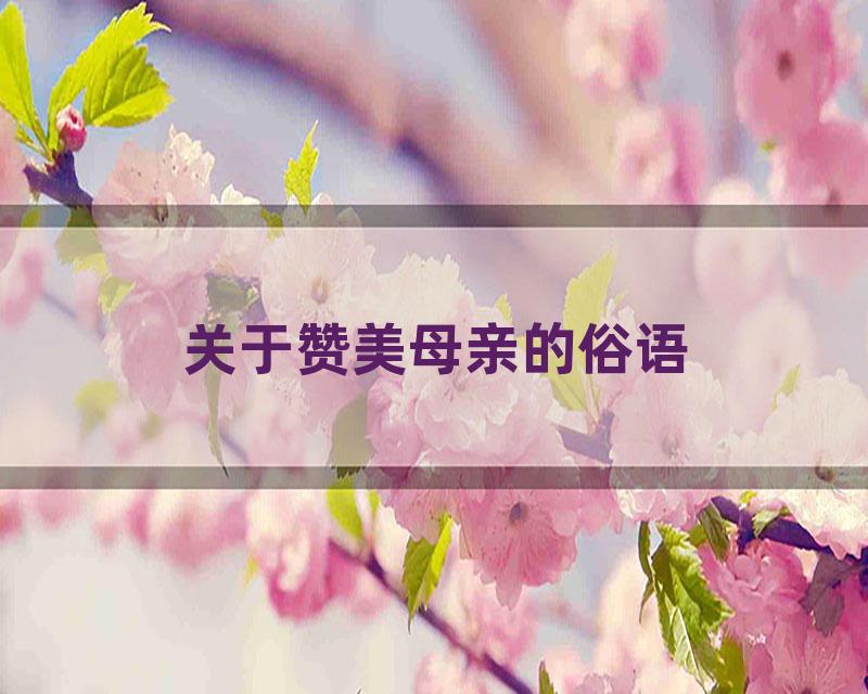 关于赞美母亲的俗语