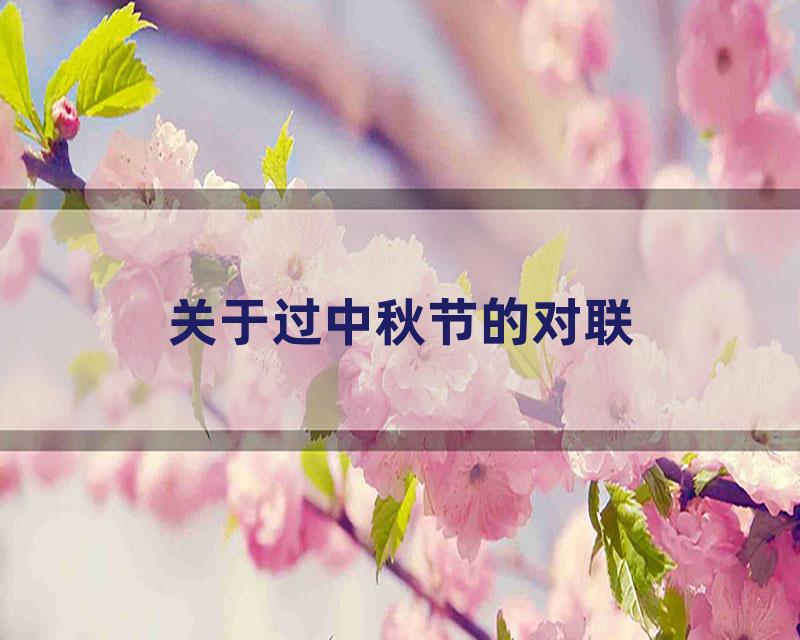 关于过中秋节的对联