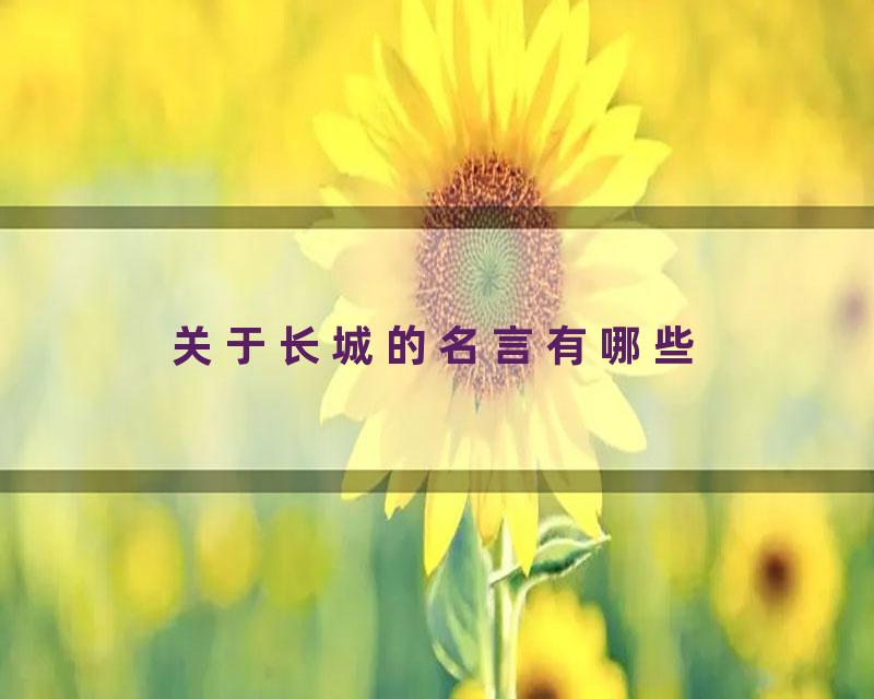 关于长城的名言有哪些