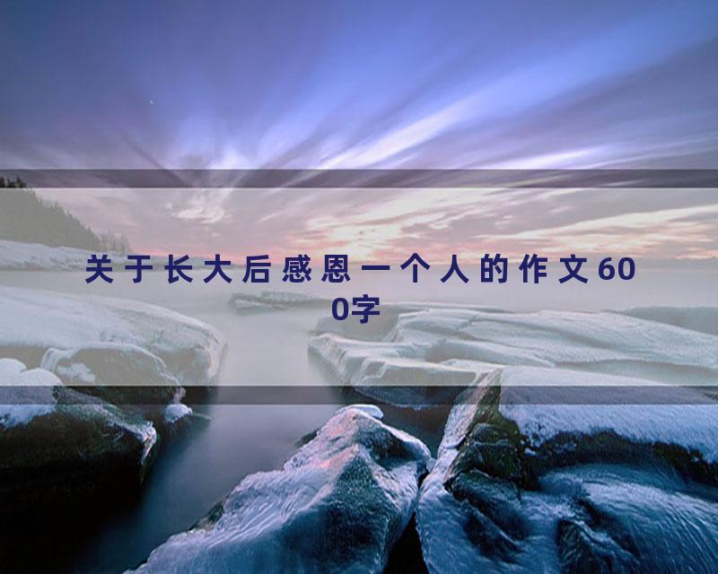 关于长大后感恩一个人的作文600字