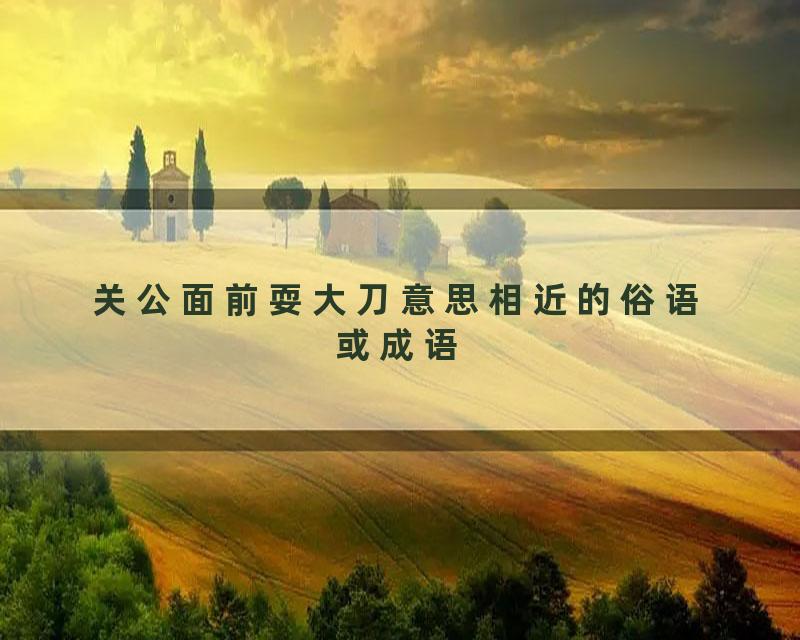 关公面前耍大刀意思相近的俗语或成语