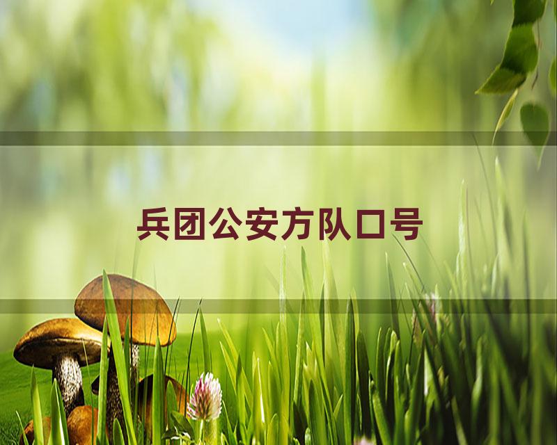 兵团公安方队口号