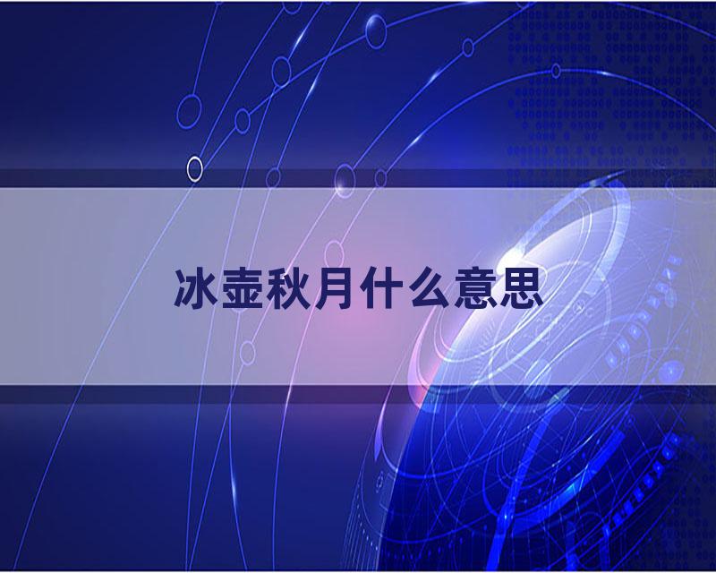 冰壶秋月什么意思