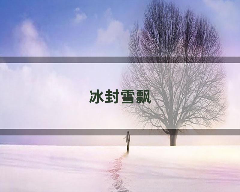 冰封雪飘