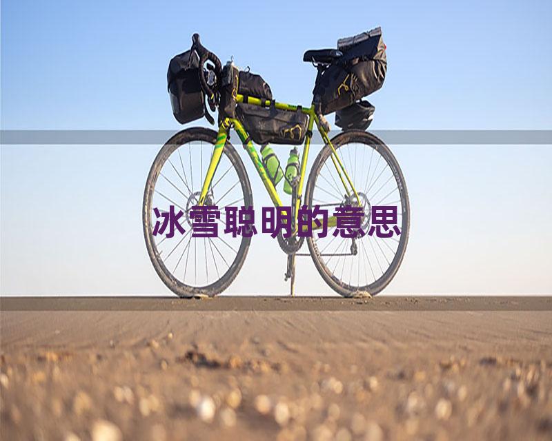 冰雪聪明的意思