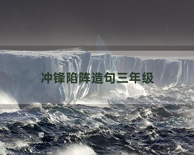 冲锋陷阵造句三年级