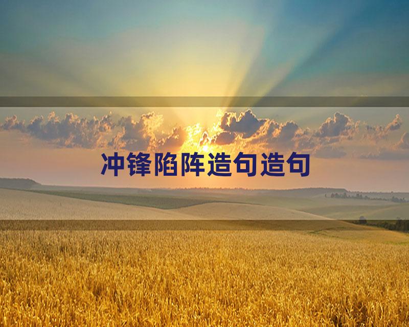 冲锋陷阵造句造句