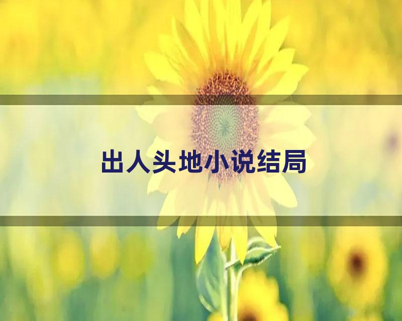 出人头地小说结局