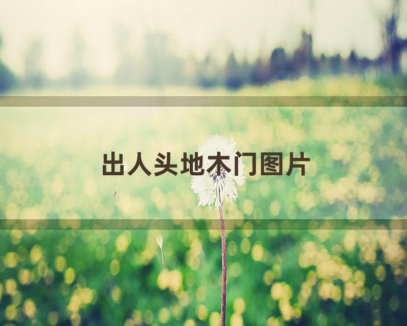 出人头地木门图片