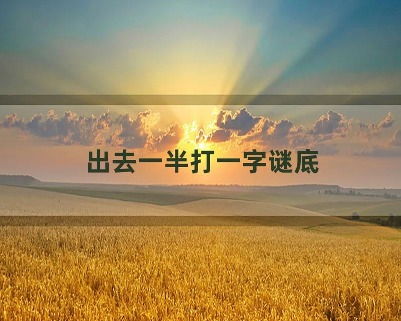出去一半打一字谜底