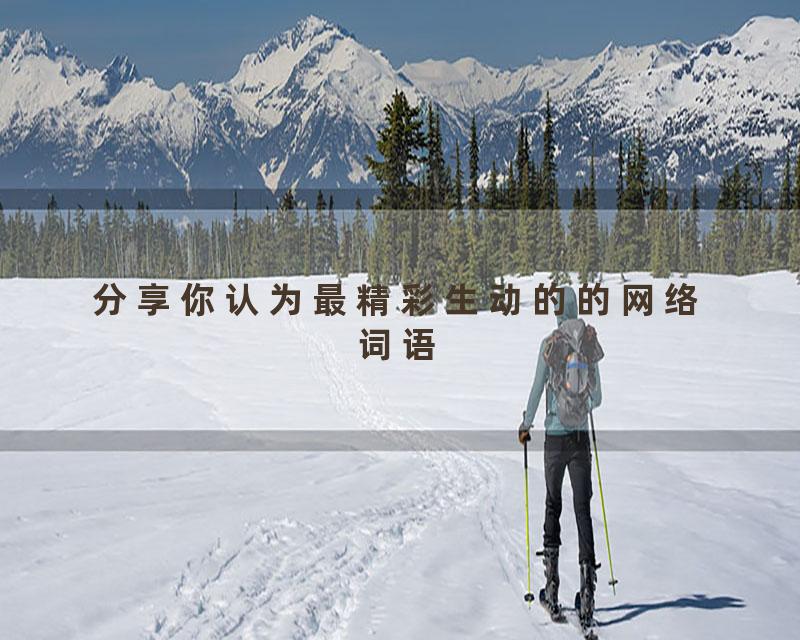 分享你认为最精彩生动的的网络词语