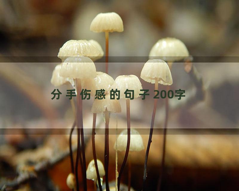 分手伤感的句子200字