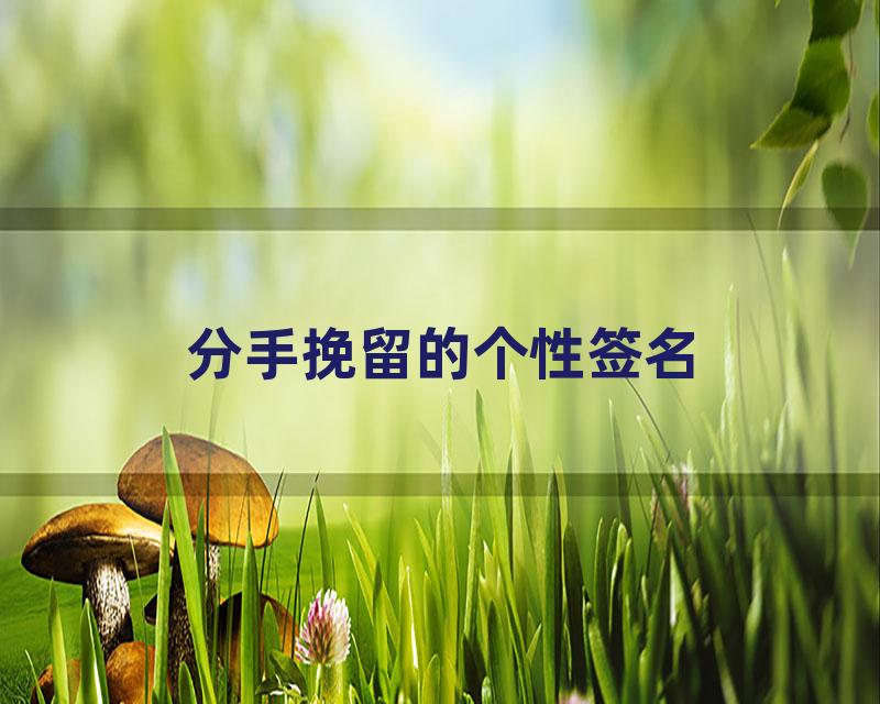 分手挽留的个性签名