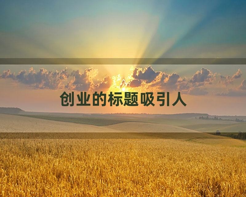 创业的标题吸引人