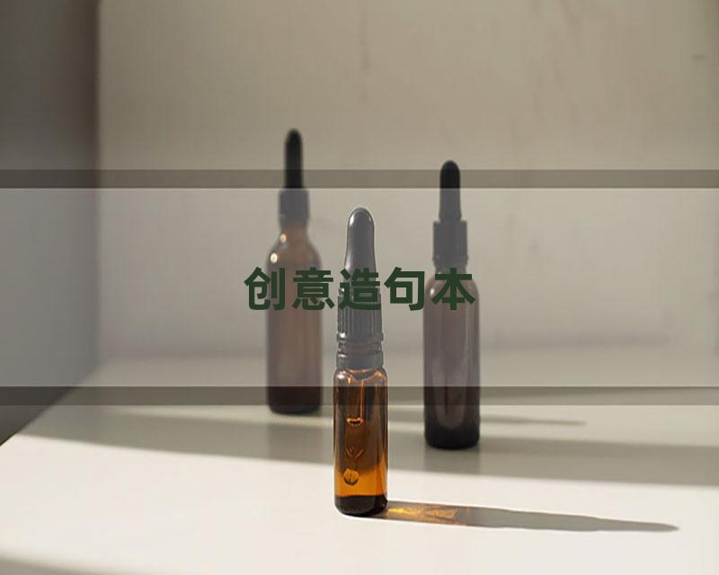 创意造句本