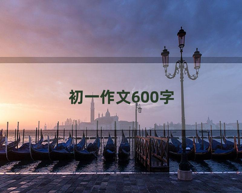 初一作文600字