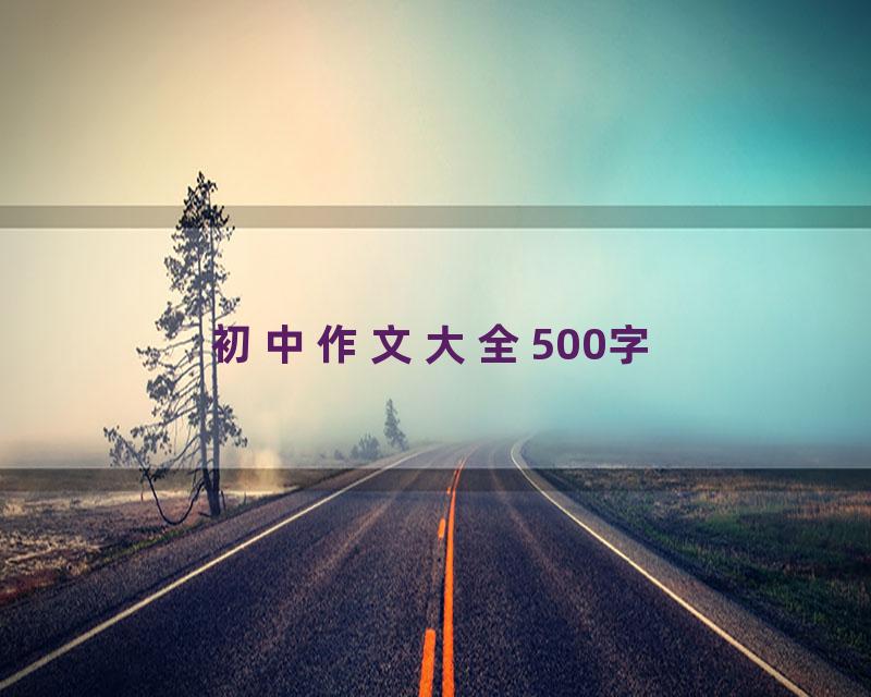 初中作文大全500字