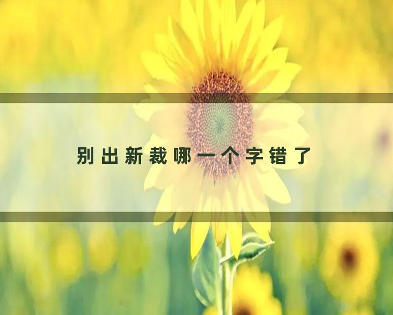 别出新裁哪一个字错了