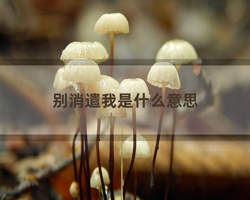别消遣我是什么意思