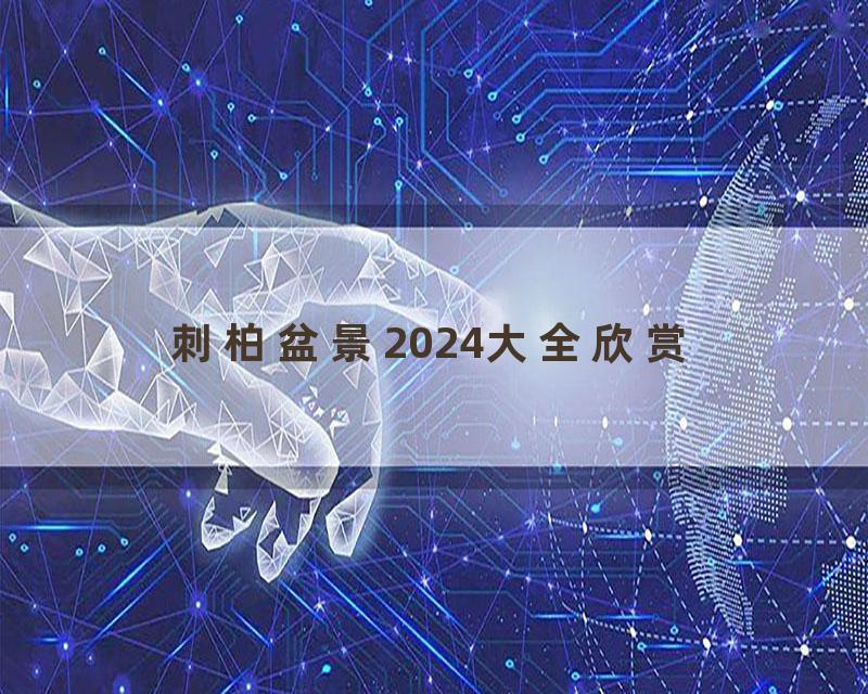 刺柏盆景2024大全欣赏