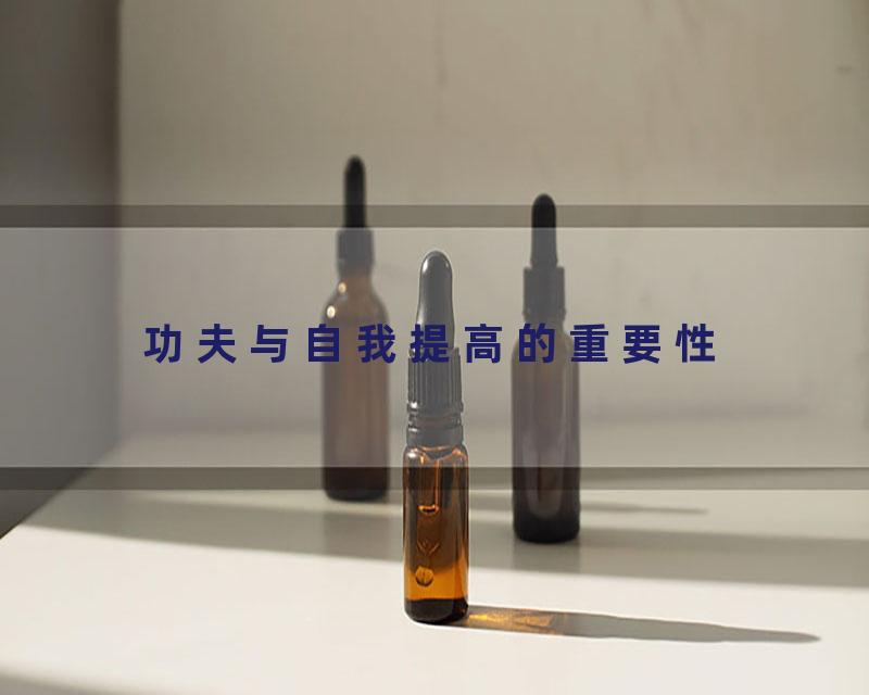 功夫与自我提高的重要性