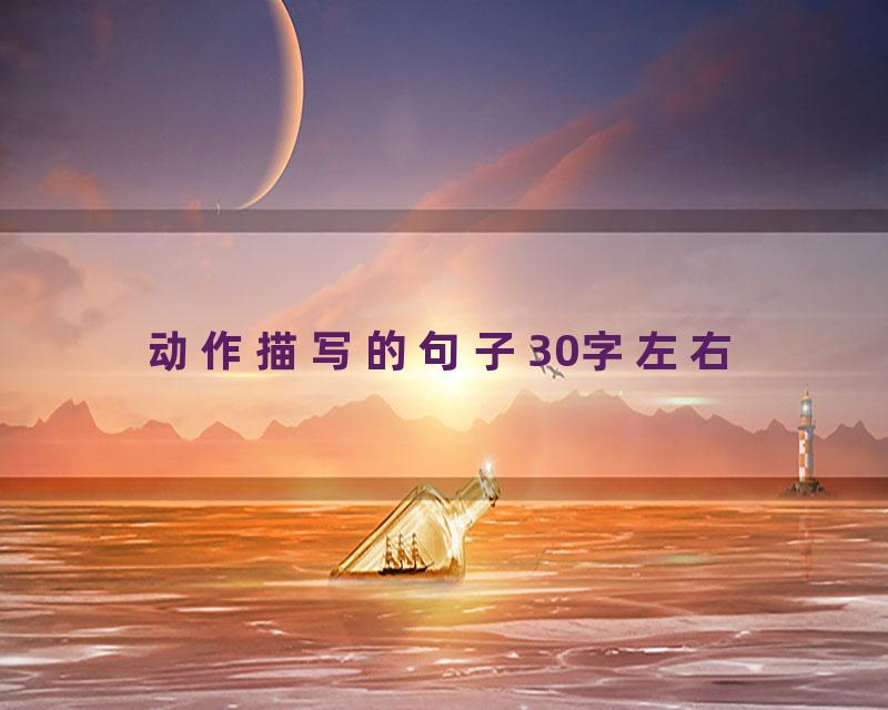 动作描写的句子30字左右