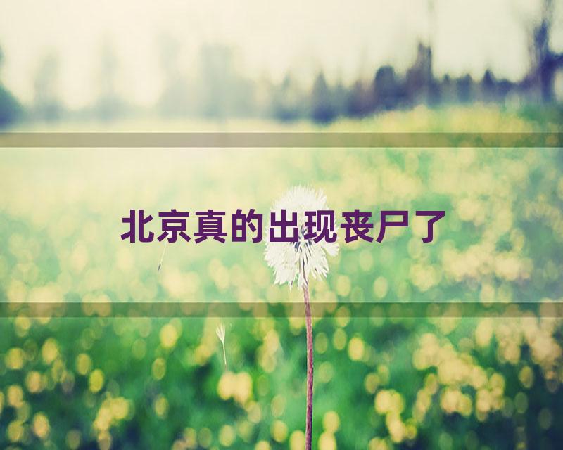 北京真的出现丧尸了