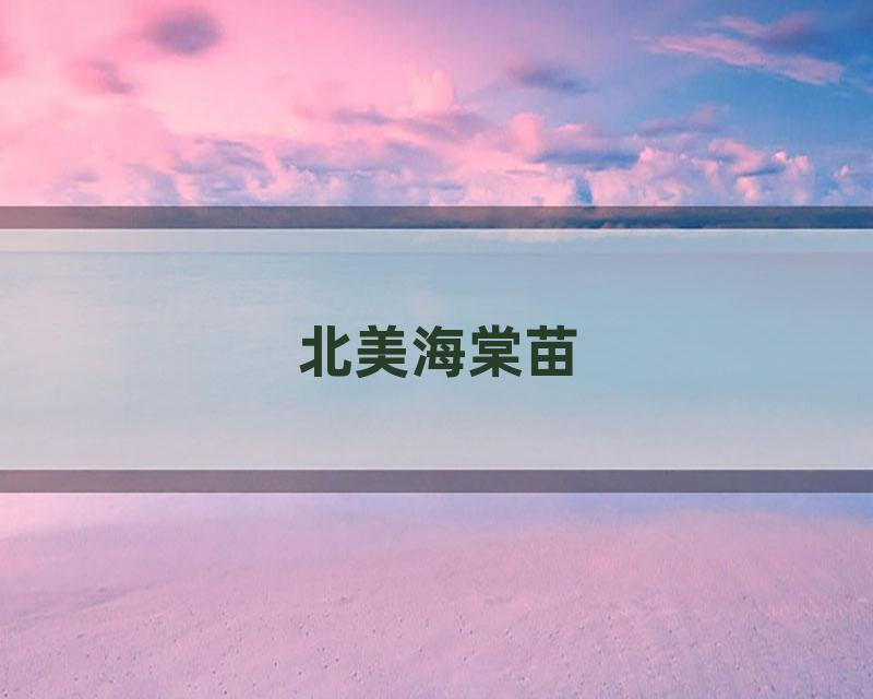 北美海棠苗
