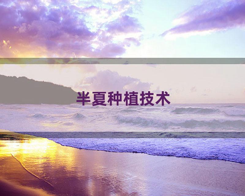 半夏种植技术