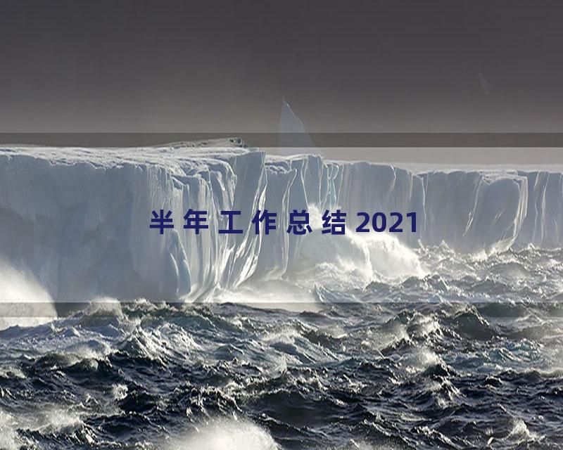 半年工作总结2021