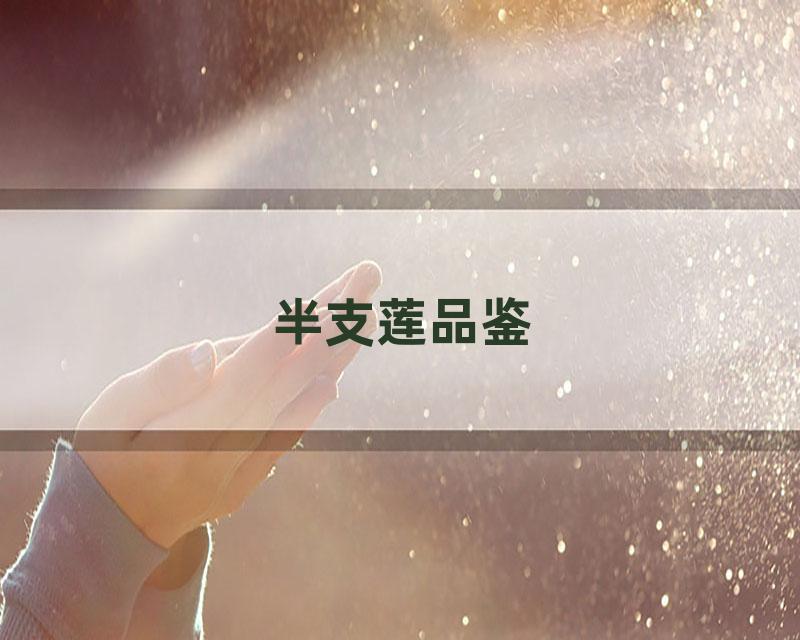 半支莲品鉴