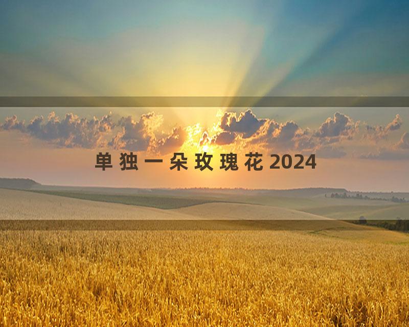 单独一朵玫瑰花2024