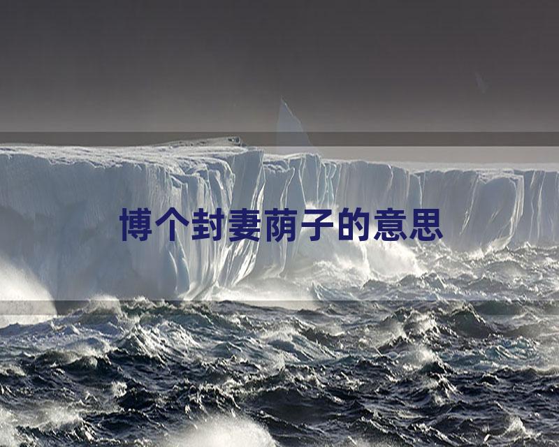 博个封妻荫子的意思