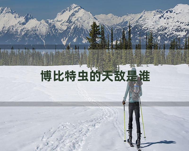 博比特虫的天敌是谁