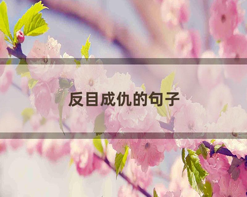 反目成仇的句子