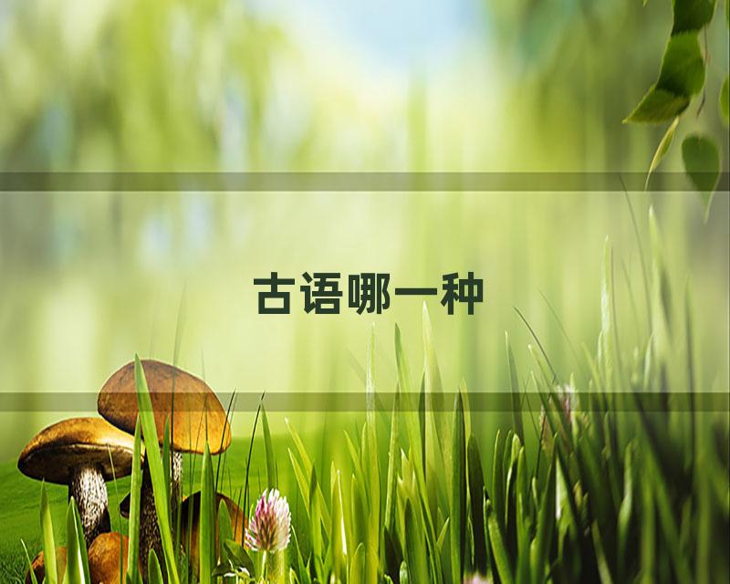 古语哪一种