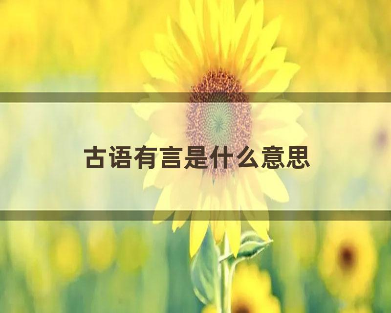 古语有言是什么意思