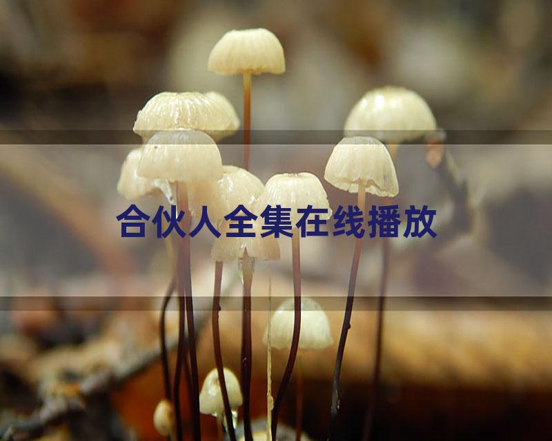 合伙人全集在线播放