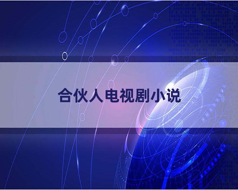 合伙人电视剧小说