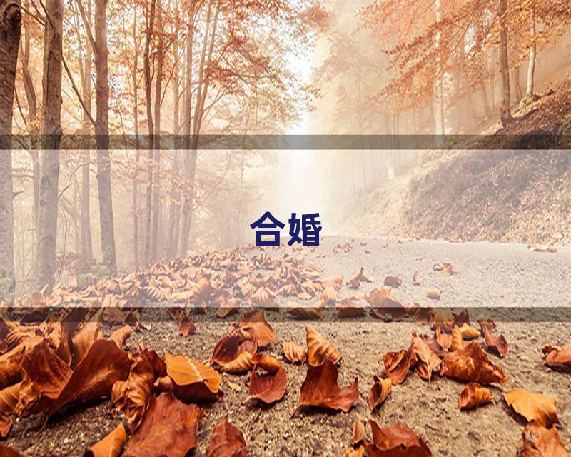 合婚